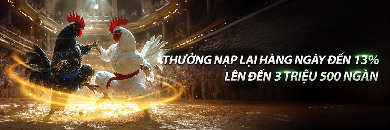 Đá Gà Thomo 18/11 tại OKVIP Vietnam
